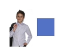 Сорочка Silver Spoon арт C01-LT_Blue 2010 г инфо 12333v.