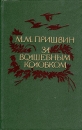 За волшебным колобком Серия: Библиотека северной прозы инфо 13596p.